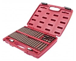 Набор бит TORX, HEX, SPLINE, RIBE, SQ 58ед.