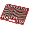 Комплект головок с насадкой TORX, HEX, SPLINE, RIBE длина 200мм 24ед.