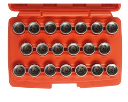 Набор головок для демонтажа секретных болтов BMW 20ед.-foto3