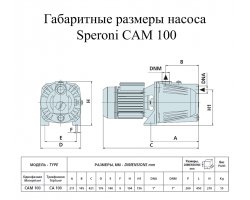 Поверхностный cамовсасывающий насос Speroni CAM 100-HL 31.1.101161330-foto3