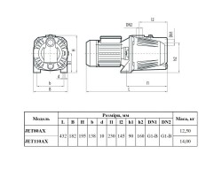 Центробежный поверхностный насос Насосы+Оборудование JET110AX 4823072208305-foto2