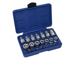 Набор головок E -тип TORX 1/2 23пр. ASTA TX SET-23