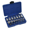 Набор головок E -тип TORX 1/2 23пр. ASTA TX SET-23