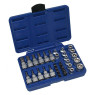 Набор TORX бит насадок, головок 34 ед. ASTA A-TXSET34