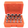 Набор головок торкс 1/4"-3/8"-1/2"DR, Е4-Е24, 14 предм. (НГЕ-424K) ALLOID